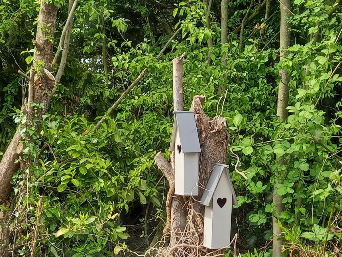 Natuurhuisje Eartswoud Aartswoud Εξωτερικό φωτογραφία