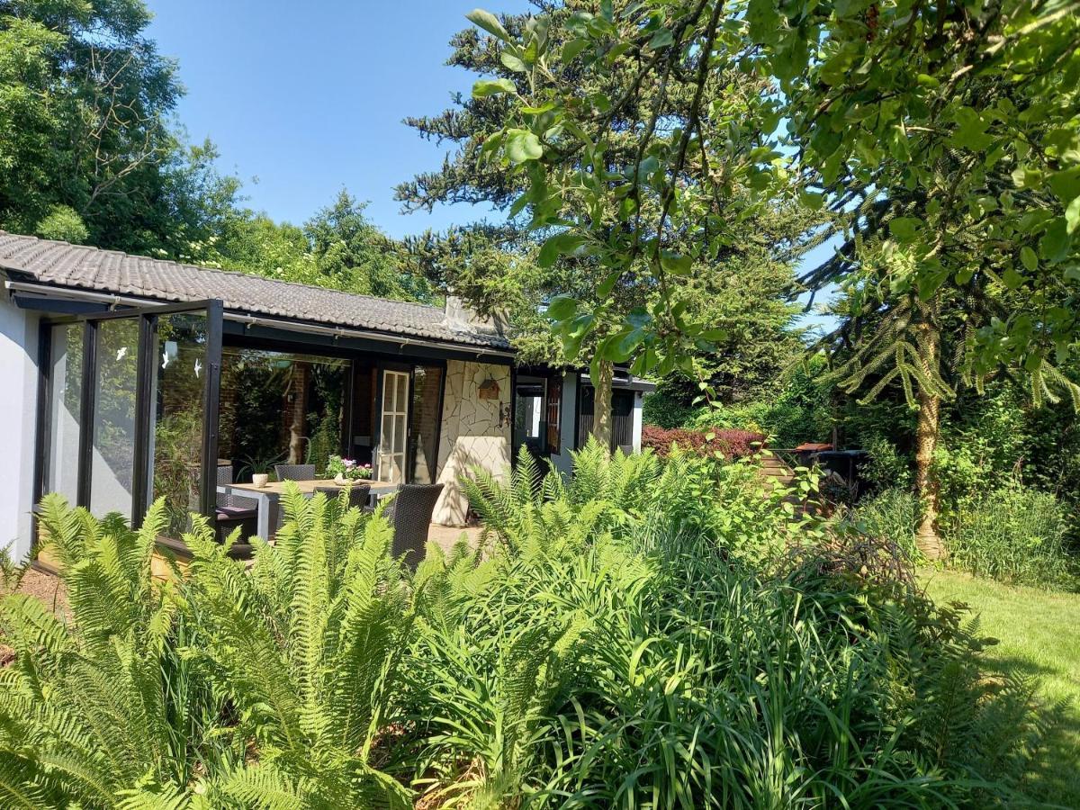 Natuurhuisje Eartswoud Aartswoud Εξωτερικό φωτογραφία