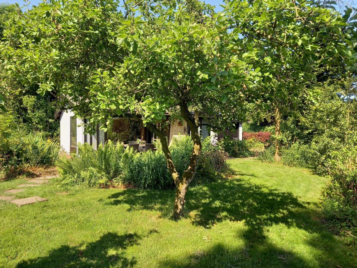 Natuurhuisje Eartswoud Aartswoud Εξωτερικό φωτογραφία